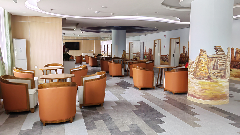 適老化（huà）沙發（fā）